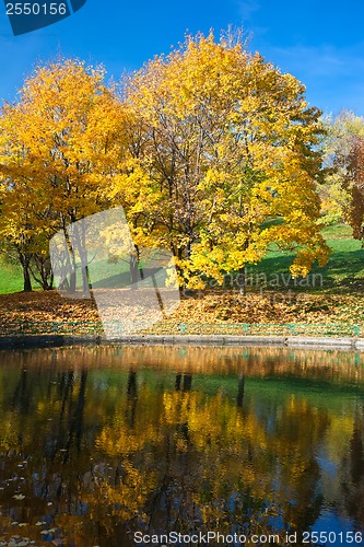 Image of Autumn