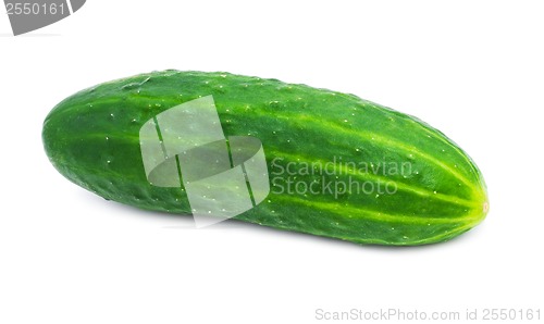 Image of Fresh cucumber