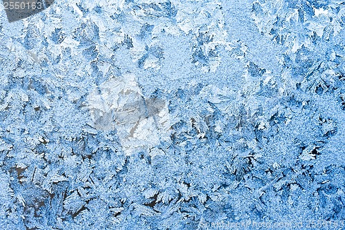 Image of Frost pattern