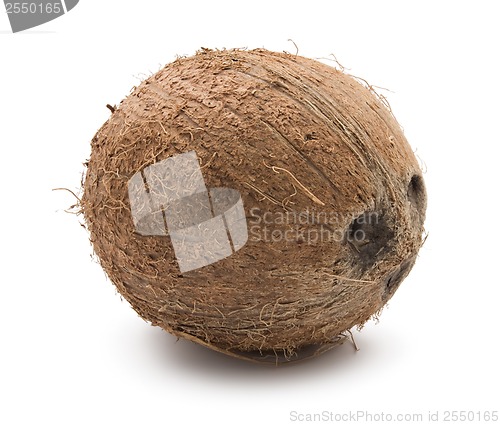 Image of Coconut