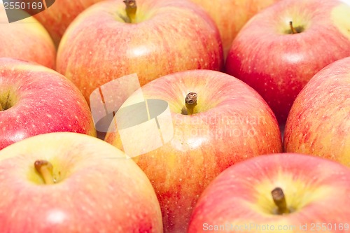 Image of Apple
