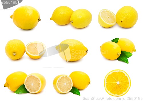 Image of Lemon