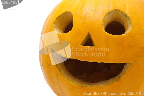 Image of Halloween pumpkin
