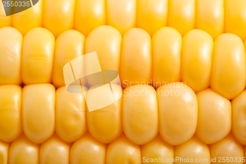 Image of Corn