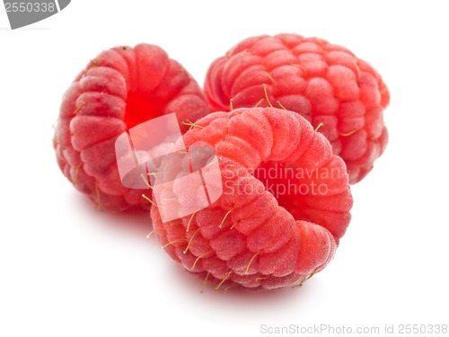 Image of Fresh raspberries