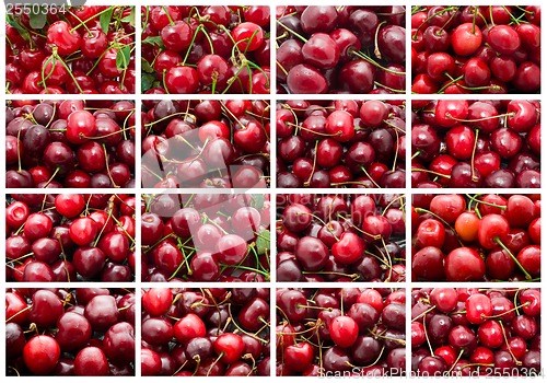 Image of Cherry