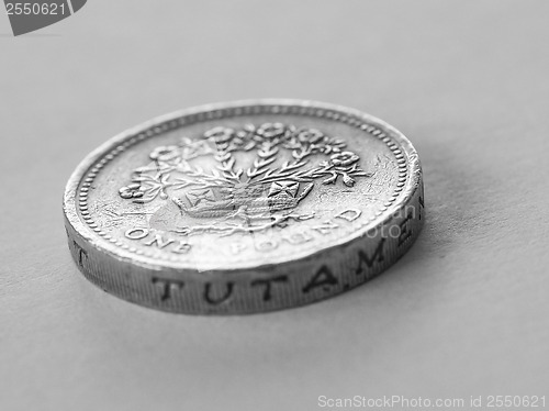 Image of British pound coin