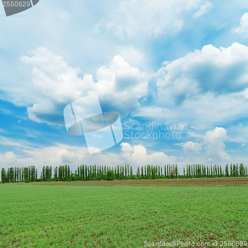 Image of low clouds in blue sky over green field