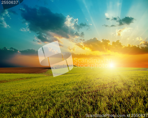 Image of good sunset and green agriculture field