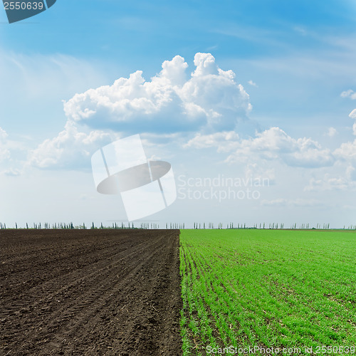 Image of two agriculture fields under cloudy sky