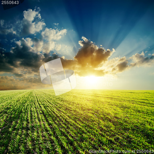 Image of green field and sunset in cloudy sky