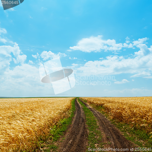 Image of dirty road in golden fields and clouds over it