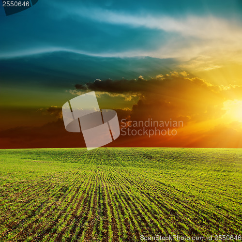 Image of orange sunset over green field