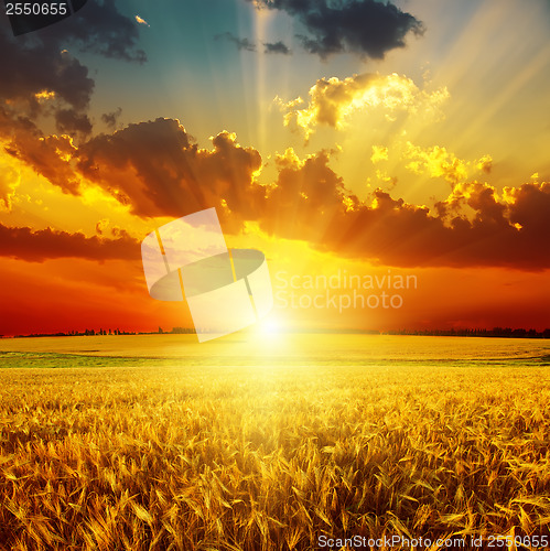 Image of golden sunset over field with harvest