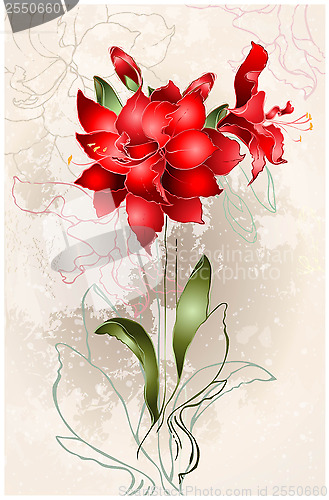 Image of Beautiful greeting card with Amaryllis (Hipperastrum). Floral ba