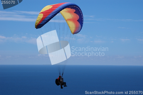 Image of Paragliding