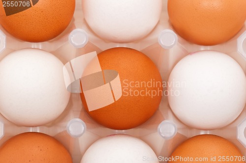 Image of Eggs in box