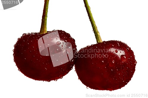 Image of Sweet cherries