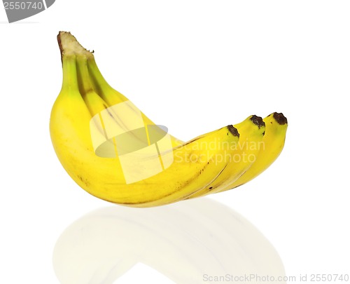 Image of Ripe bananas