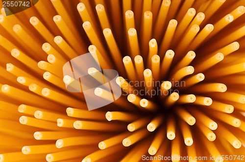 Image of Spaghetti