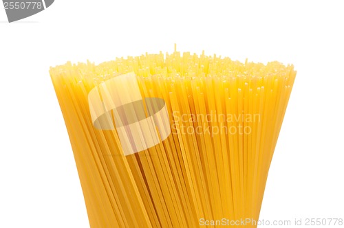 Image of Spaghetti