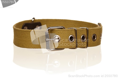 Image of Dog collar