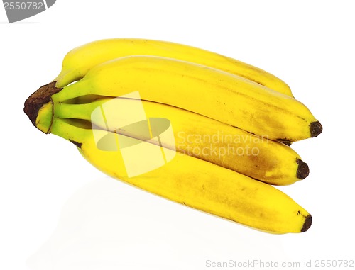 Image of Ripe bananas