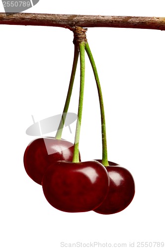 Image of Sweet cherries