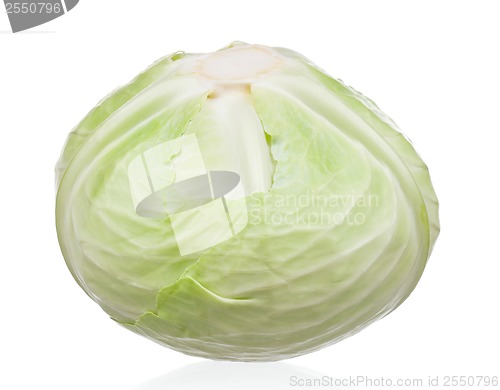 Image of Fresh cabbage