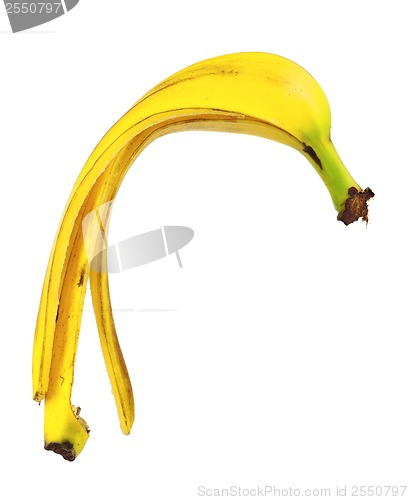 Image of Peel of banana