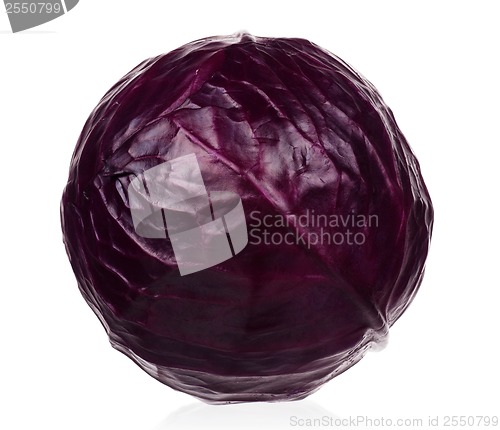 Image of Fresh cabbage