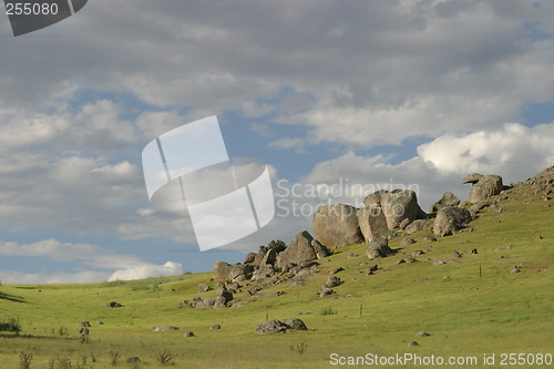 Image of Granite boulder outcrop in green pasture