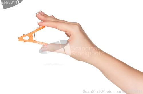 Image of Hand with bath sponge