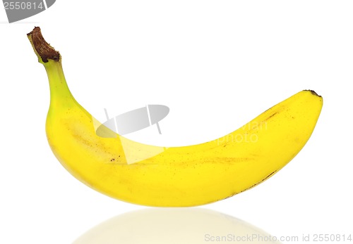 Image of Ripe bananas