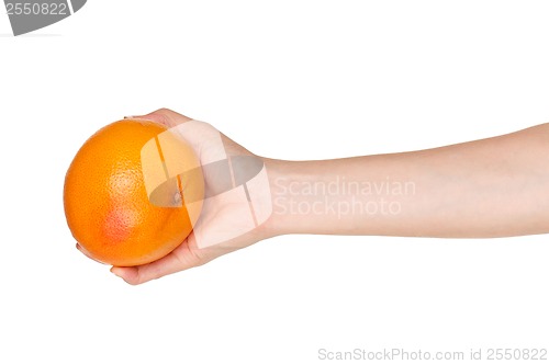 Image of Hand with grapefruit