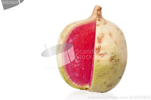 Image of Fresh radish