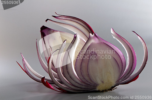 Image of Slices of red onion