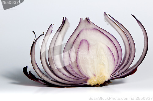 Image of Slice of red onion