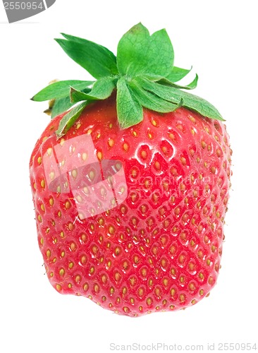 Image of Strawberry