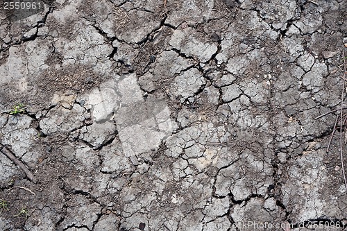Image of Dry land