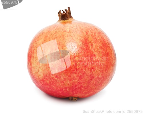 Image of Pomegranate