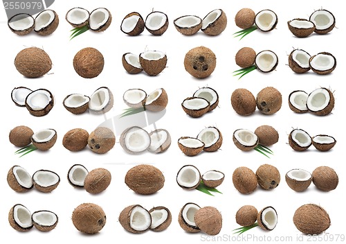 Image of Coconuts