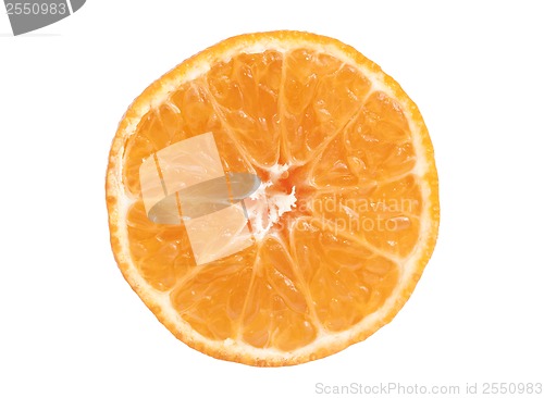 Image of Tangerine