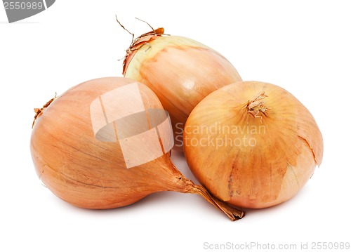 Image of Onion