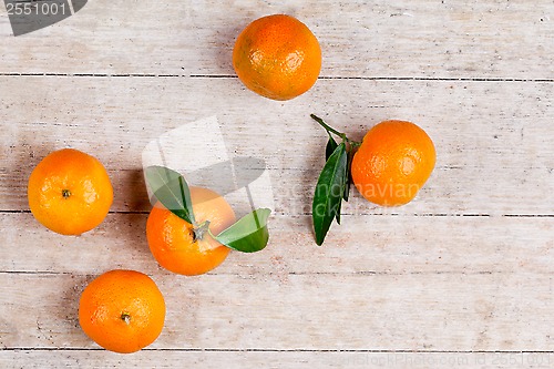 Image of five tangerines with leaves 