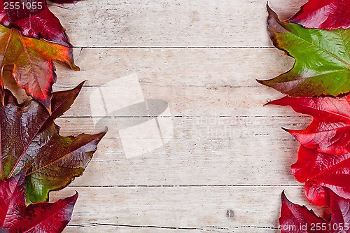 Image of  frame of autumn leaves 