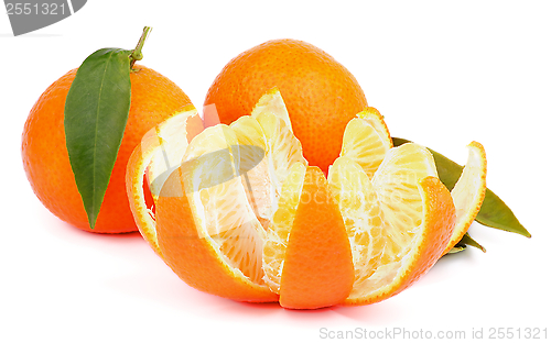 Image of Tangerine with Segments