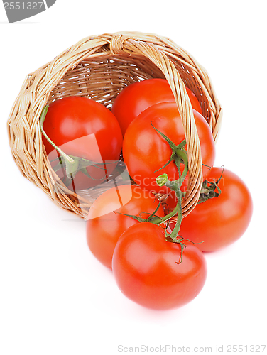 Image of Ripe Tomatoes