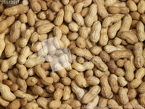 Image of lots of peanuts