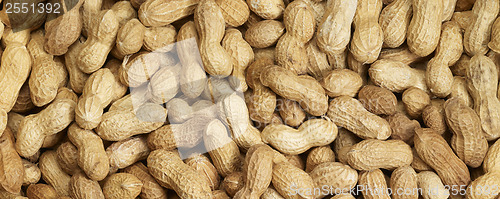 Image of Peanuts